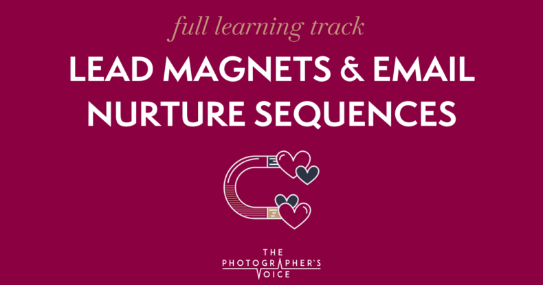 Lead Magnets and Email Nurture Sequences – full learning track